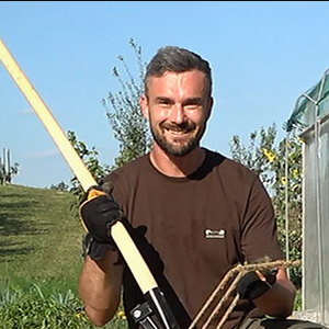 davor Špehar